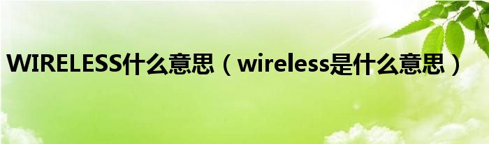WIRELESS什么意思（wireless是什么意思）