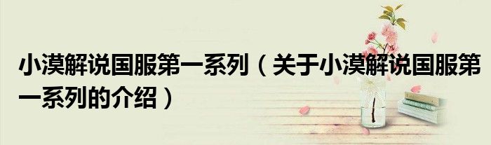 小漠解说国服第一系列（关于小漠解说国服第一系列的介绍）