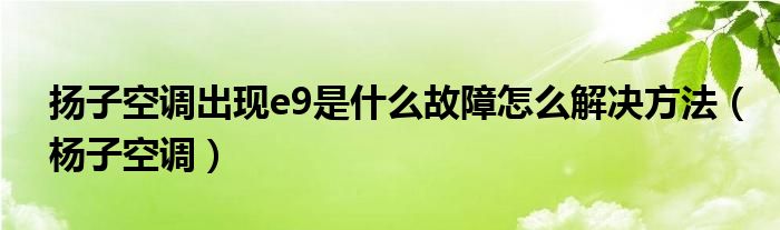 扬子空调出现e9是什么故障怎么解决方法（杨子空调）