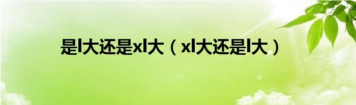 是l大还是xl大（xl大还是l大）