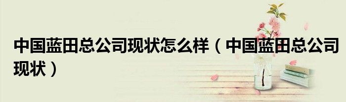 中国蓝田总公司现状怎么样（中国蓝田总公司现状）