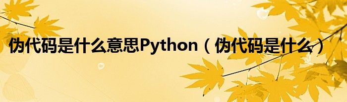 伪代码是什么意思Python（伪代码是什么）