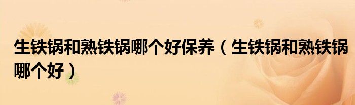 生铁锅和熟铁锅哪个好保养（生铁锅和熟铁锅哪个好）