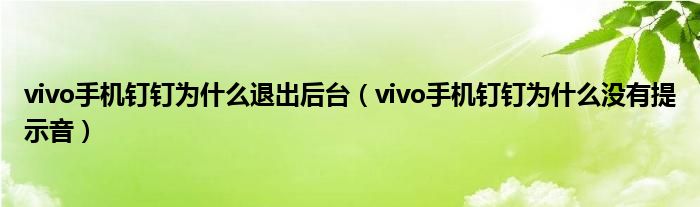 vivo手机钉钉为什么退出后台（vivo手机钉钉为什么没有提示音）