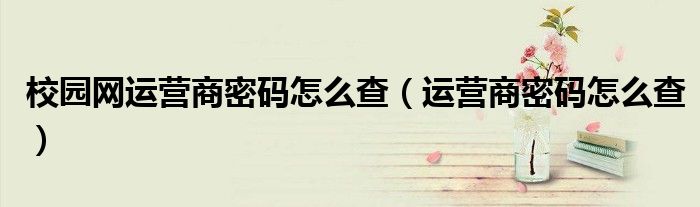 校园网运营商密码怎么查（运营商密码怎么查）