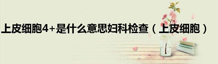上皮细胞4+是什么意思妇科检查（上皮细胞）