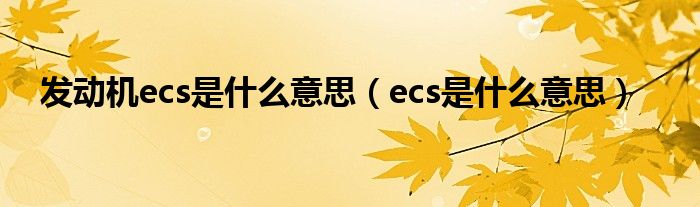 发动机ecs是什么意思（ecs是什么意思）