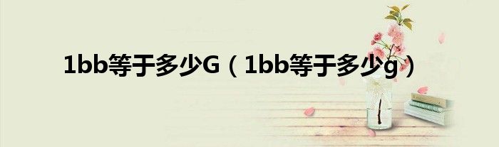 1bb等于多少G（1bb等于多少g）