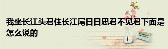 我坐长江头君住长江尾日日思君不见君下面是怎么说的