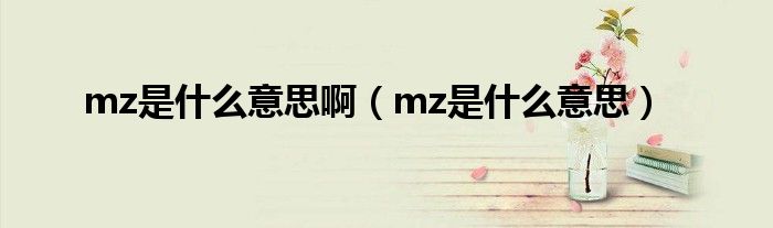 mz是什么意思啊（mz是什么意思）