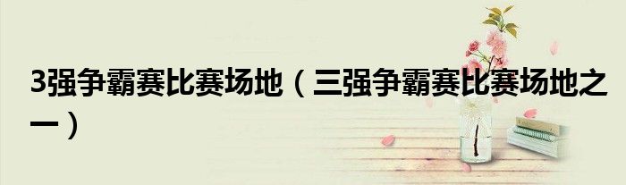 3强争霸赛比赛场地（三强争霸赛比赛场地之一）
