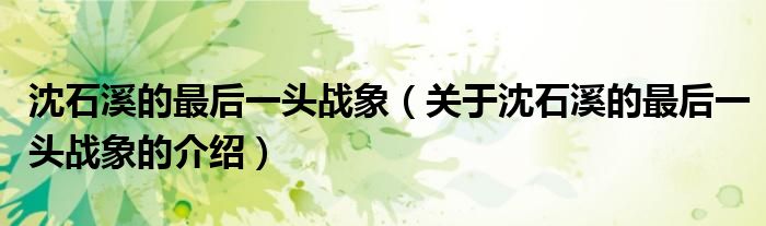 沈石溪的最后一头战象(关于沈石溪的最后一头战象的介绍)